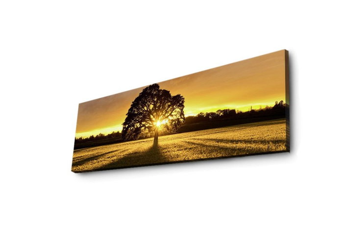 Wallity Lienzo Decorativo Iluminado con LED 30 x 90 cm Multicolor